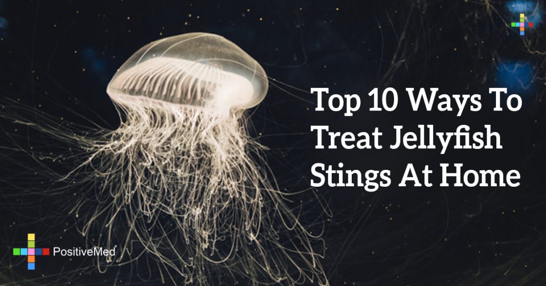 top-10-ways-to-treat-jellyfish-stings-at-home