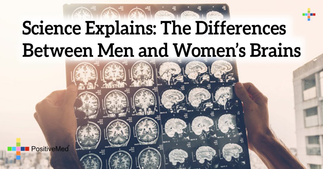 Science Explains The Differences Between Men And Womens Brains 5115