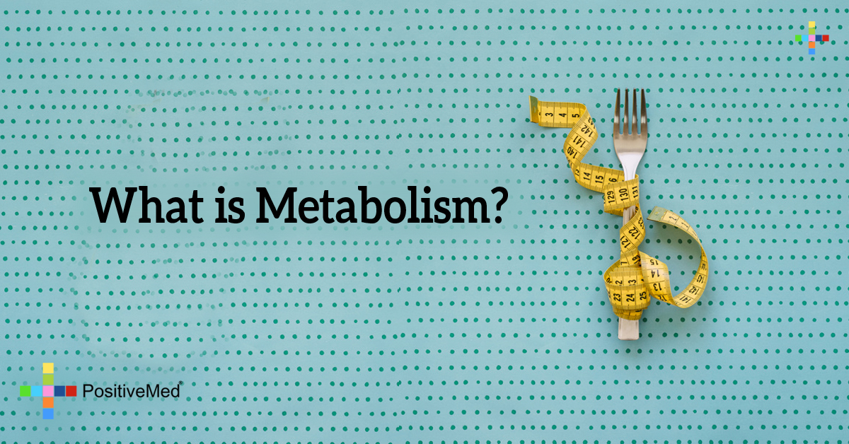 5 Tricks To Speed Up Your Metabolism