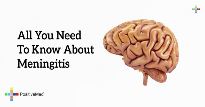 All You Need To Know About Meningitis - PositiveMed