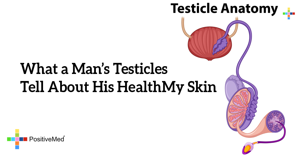 What A Mans Testicles Tell About His Health 1628