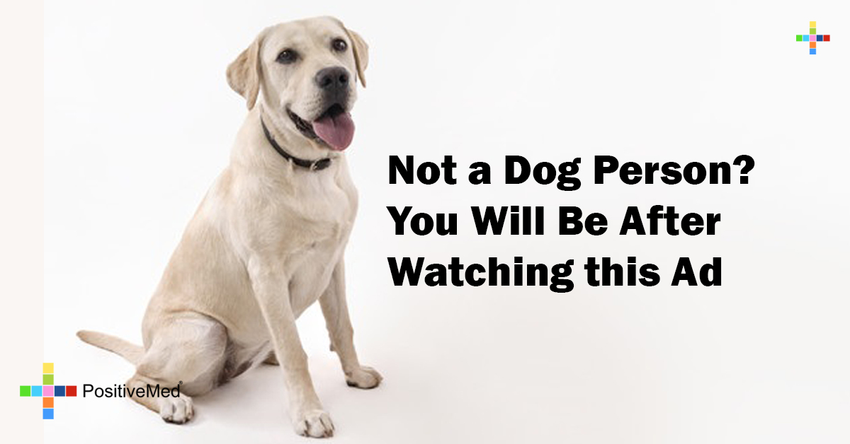 Not a Dog Person? You Will Be After this Ad