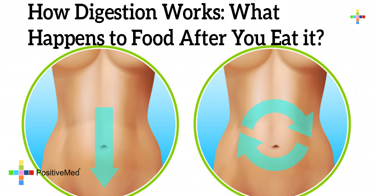 how-digestion-works-what-happens-to-food-after-you-eat-it