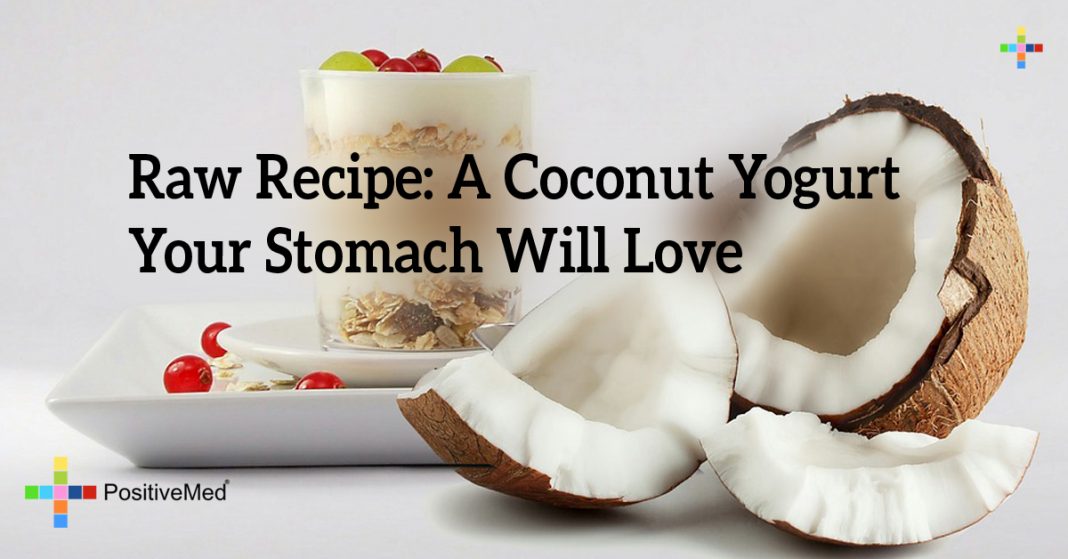 Raw Recipe A Coconut Yogurt Your Stomach Will Love