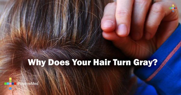 why does your hair turn gray