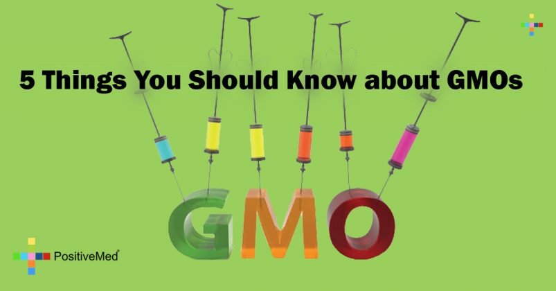 5 Things You Should Know About Gmos 6359