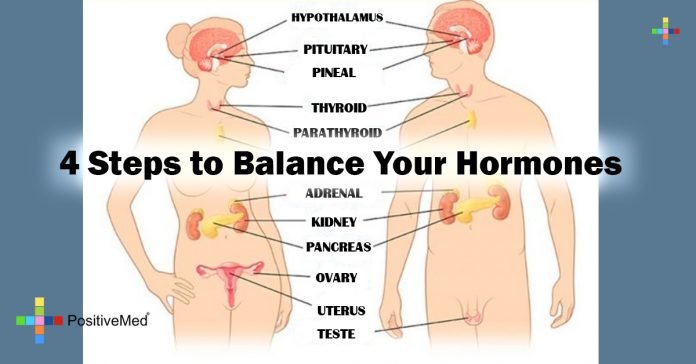 You Are Your Balance Of Your Hormones 0309