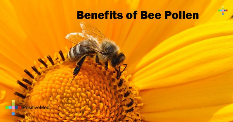 brochure on bee pollen benefits