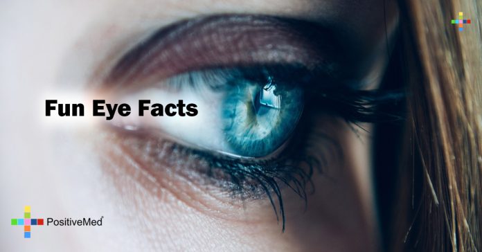 Fun Eye Facts - PositiveMed