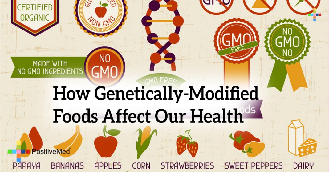 How Genetically Modified Foods Affect Our Health 4051