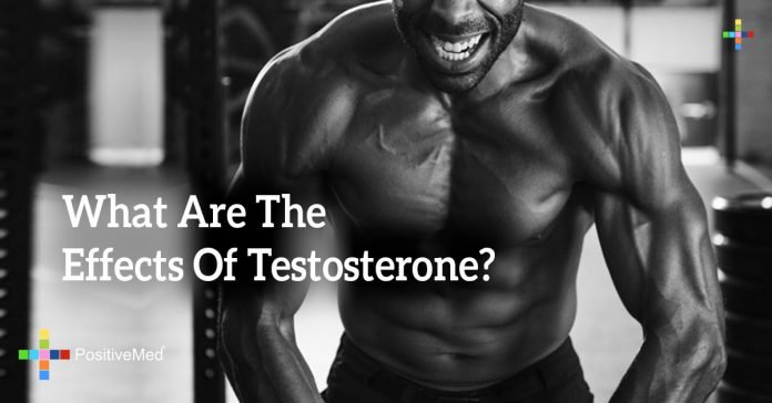 What Are The Effects Of Testosterone