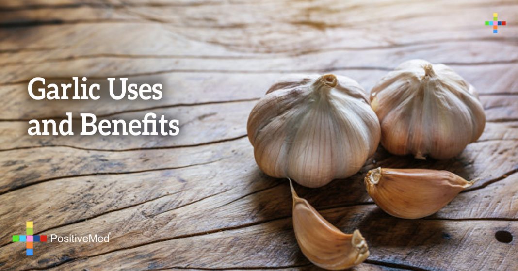 Garlic Uses and Benefits