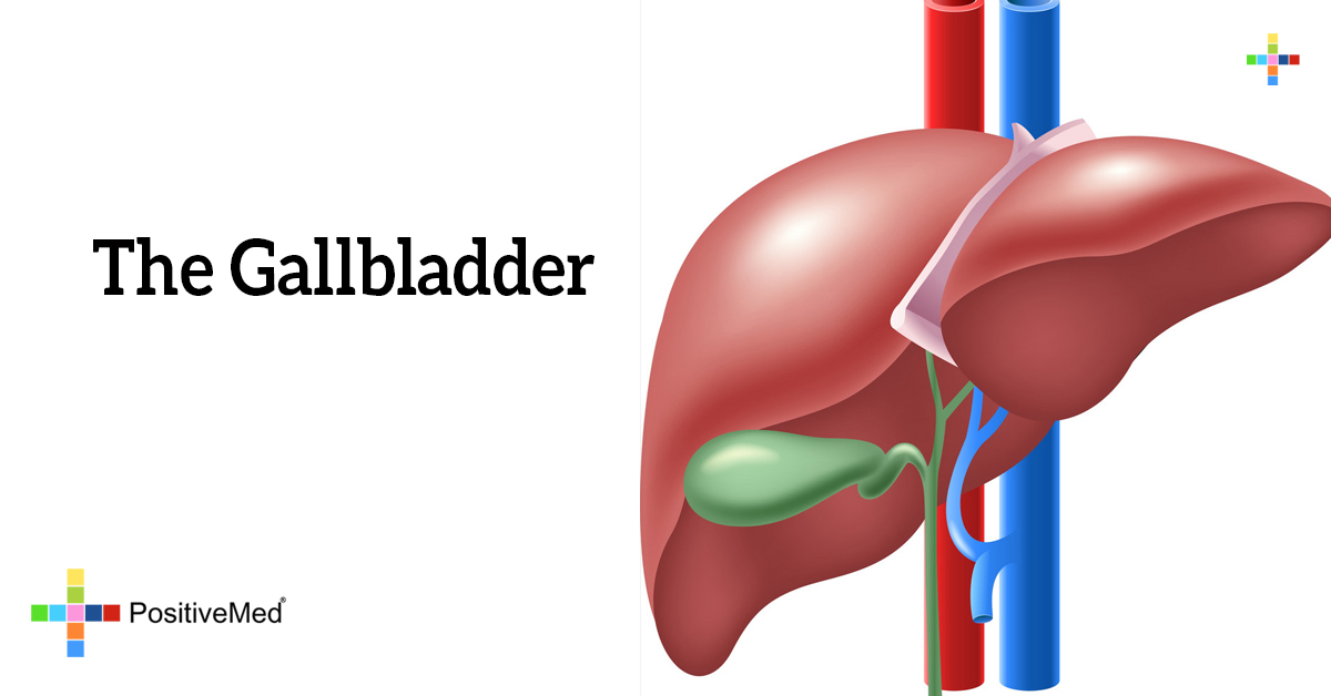 the-gallbladder