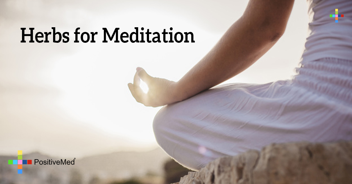 Herbs for Meditation - PositiveMed