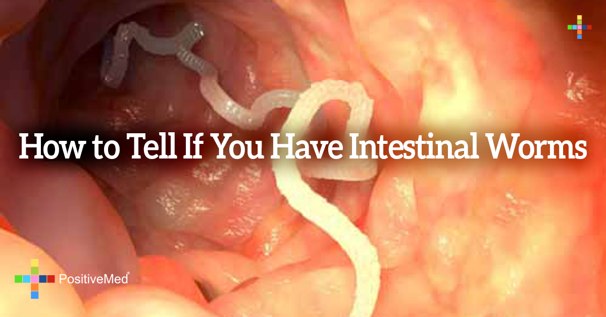 how-to-tell-if-you-have-intestinal-worms-positivemed