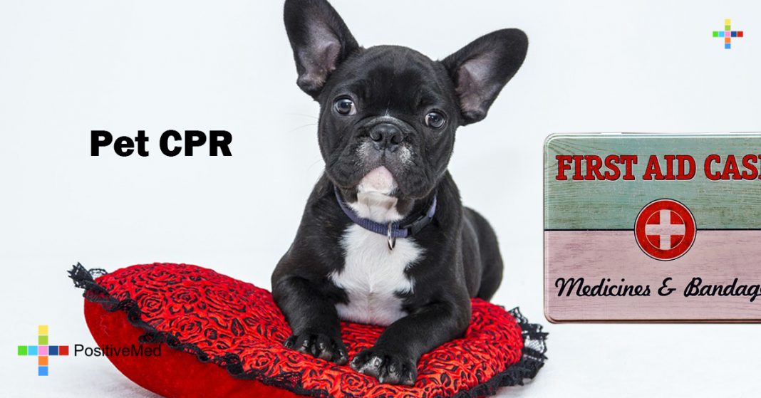 Pet CPR - PositiveMed