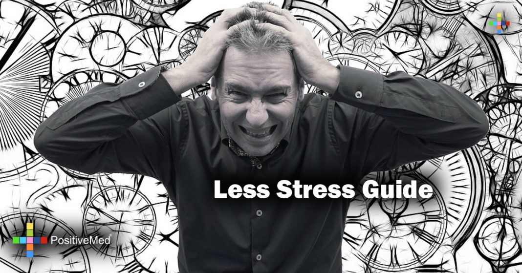 Less Stress Guide - PositiveMed