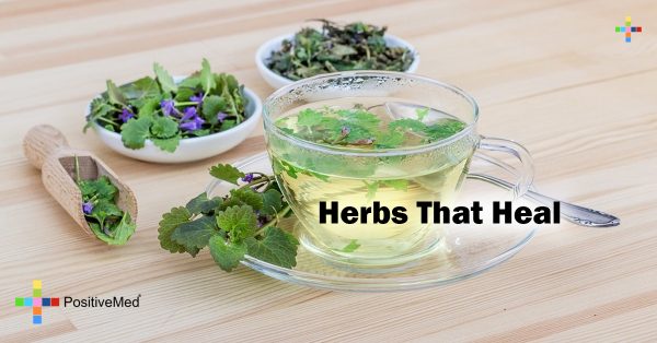 Herbs That Heal - PositiveMed