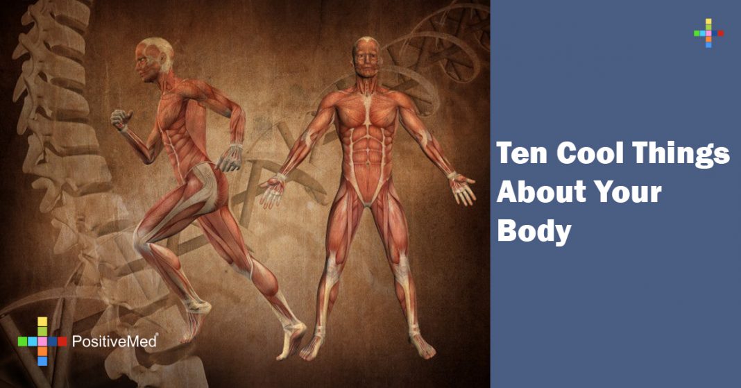 ten-cool-things-about-your-body-positivemed