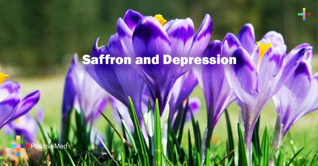 Saffron and Depression PositiveMed