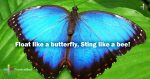 Float Like A Butterfly, Sting Like A Bee! - PositiveMed