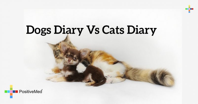 Dogs Diary vs Cats Diary - PositiveMed